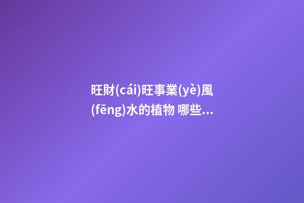 旺財(cái)旺事業(yè)風(fēng)水的植物 哪些植物的風(fēng)水會(huì)比較好